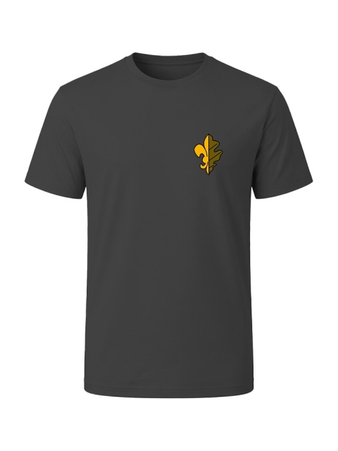T-shirt bawełniany HSLW REDA